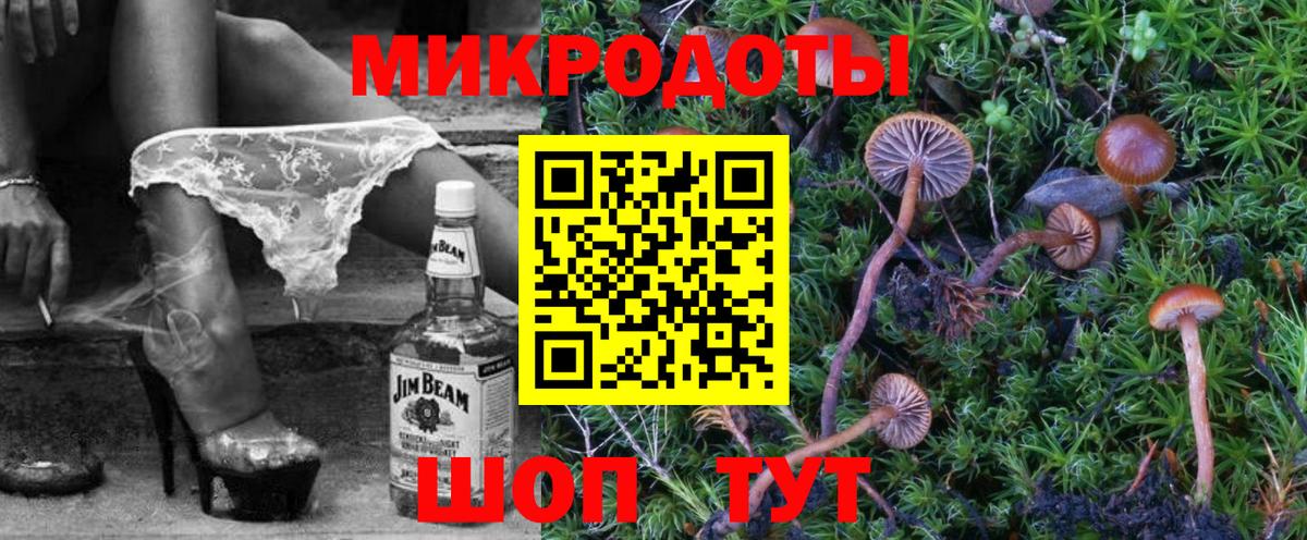 Екатеринбург  Псилоцибиновые грибы Psilocybine cubensis  Вход с VPN 